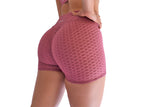 Lyft Ladies Active Seamless Shorts - Pink