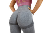 Vision Ladies Seamless Scrunch Leggings - Grey